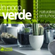 Un Poco de Verde - Tips Patricia Merizalde